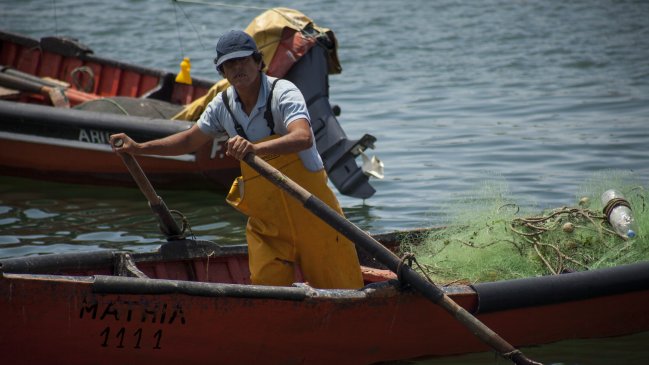 Pescadores denuncian en la Justicia los riesgos del retiro de salmones muertos