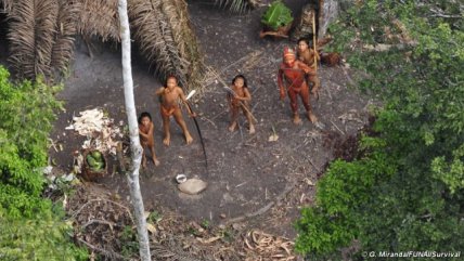   La Historia es Nuestra: Los desconocidos indígenas aislados de Latinoamérica 