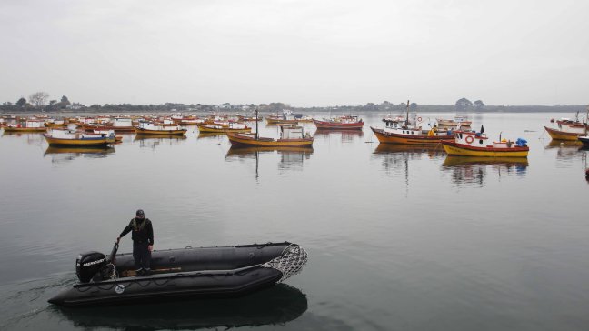 Informe de expertos: Aumento de radiación solar fue principal causa de marea roja en Chiloé