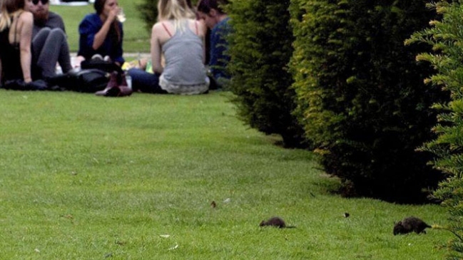 Petición ya suma 17.000 firmas contra el 