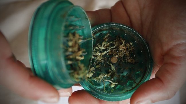 Uruguay ajustará semestralmente el precio de la marihuana