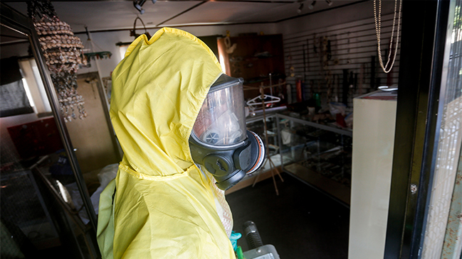  Detectan mutación genética del zika que causa microcefalia  