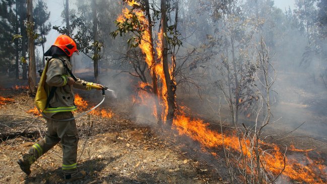 Alerta amarilla por incendio forestal en Calbuco