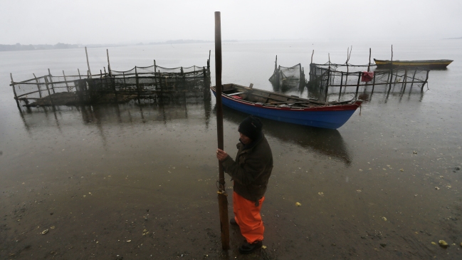 Intendencia monitorea marea roja que afecta a sector de la Isla Grande Chiloé Intendencia monitorea marea roja que afecta a sector de la Isla Grande Chiloé