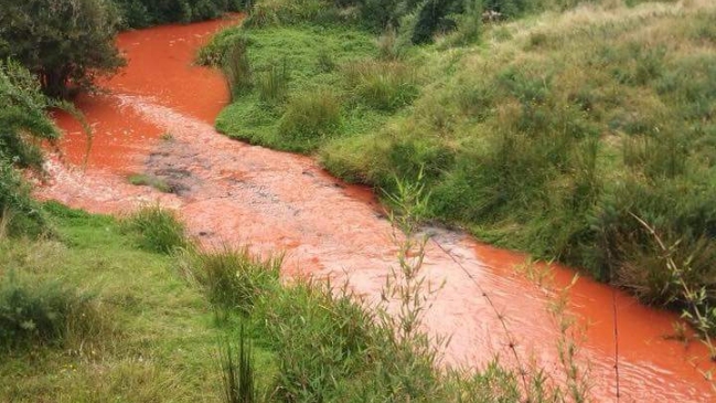 Sernapesca presentó denuncia por contaminación con pintura en el río Trainel Sernapesca presentó denuncia por contaminación con pintura en el río Trainel