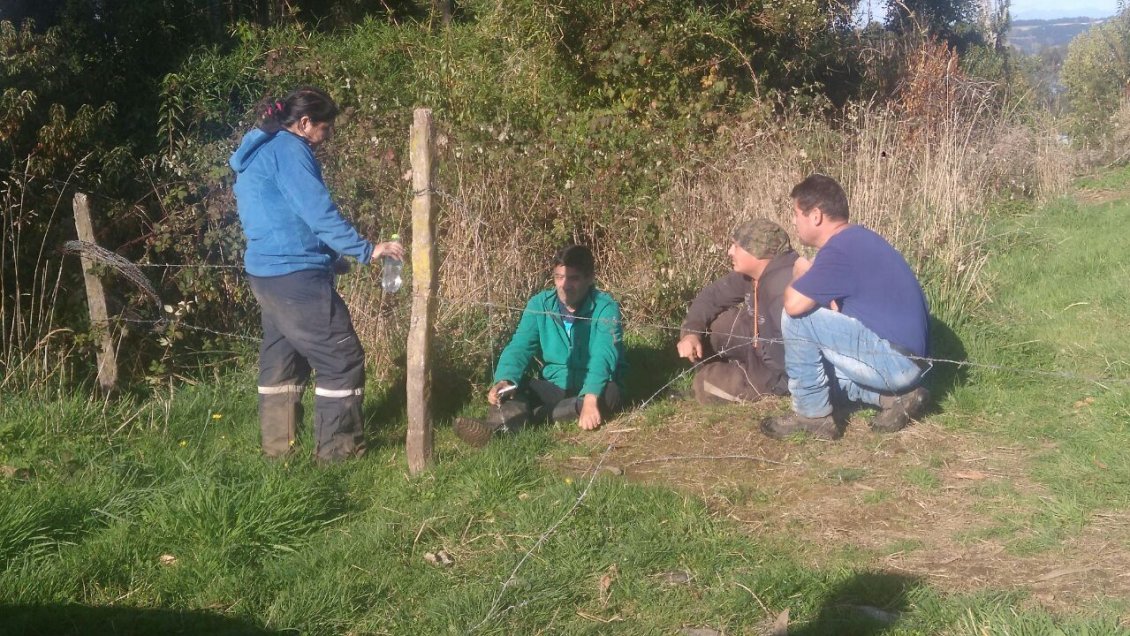 PDI investiga hallazgo del cadáver de una mujer en Frutillar PDI investiga hallazgo del cadáver de una mujer en Frutillar