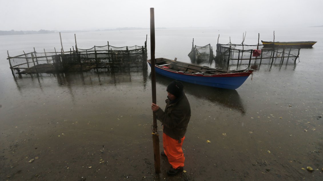 Reflotarán nave salmonera con peces muertos sumergida desde el año pasado en Chiloé Reflotarán nave salmonera con peces muertos sumergida desde el año pasado en Chiloé