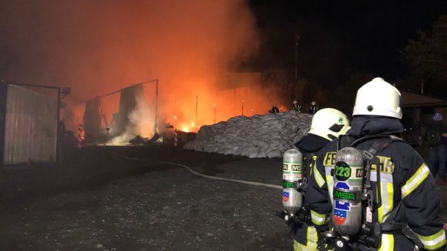 Puerto Montt: Incendio destruyó cuatro bodegas donde se almacenaba pompón