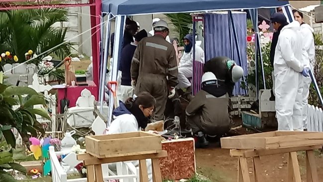 Búsqueda de Miguel Woodward: Sin resultados terminaron excavaciones en cementerio de Playa Ancha