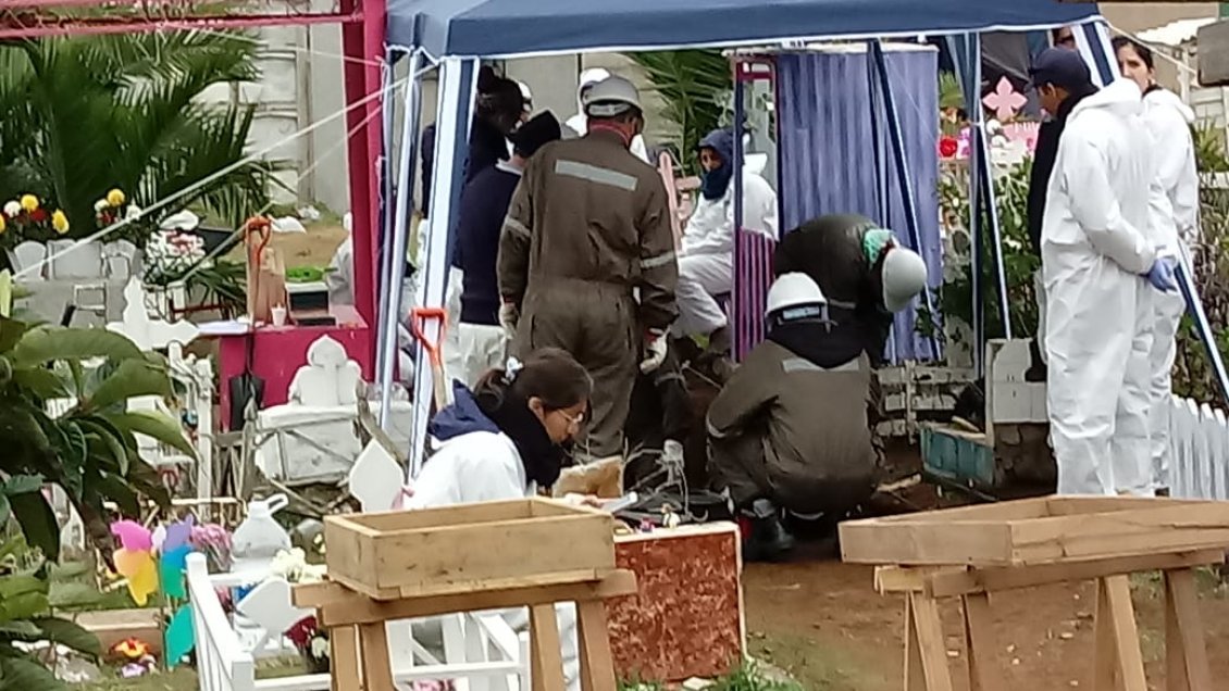 Búsqueda de Miguel Woodward: Sin resultados terminaron excavaciones en cementerio de Playa Ancha