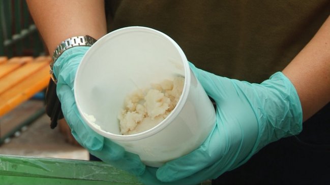 Arica: Desbaratan banda criminal que ingresaba peligrosa droga a Chile