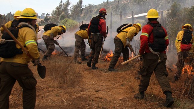 Conaf presentará querella por ataque a brigadista en Temuco