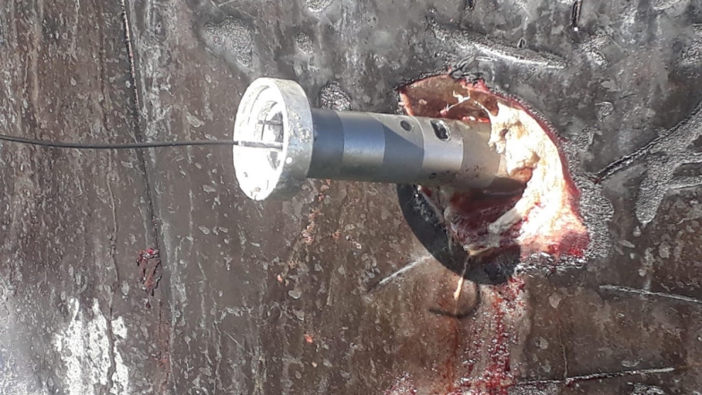 Imagen foto_00000002