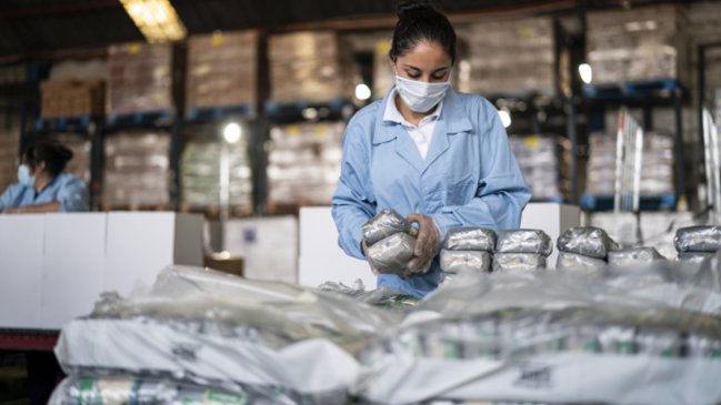 Lo que trae la caja de alimentos que se repartirá en la Región Metropolitana