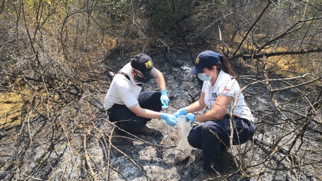 Ya van cerca de 4.200 hectáreas quemadas en incendio de Quilpué