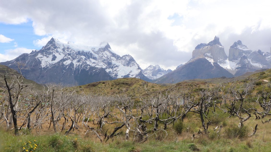 Dos turistas canadienses fueron expulsados de Torres del Paine por uso de cocinilla