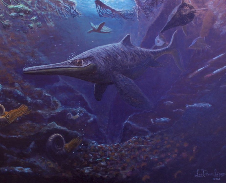 Imagen foto_00000004