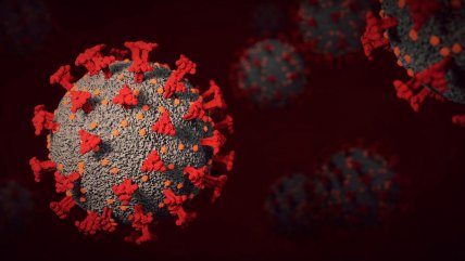   Lo que se sabe hasta ahora de la subvariante BA.2.75 de Ómicron 