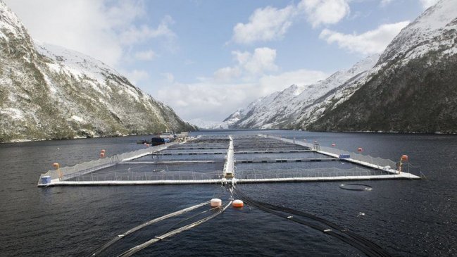 Organizaciones acusan que concesiones salmoneras operan en parques nacionales de la Patagonia