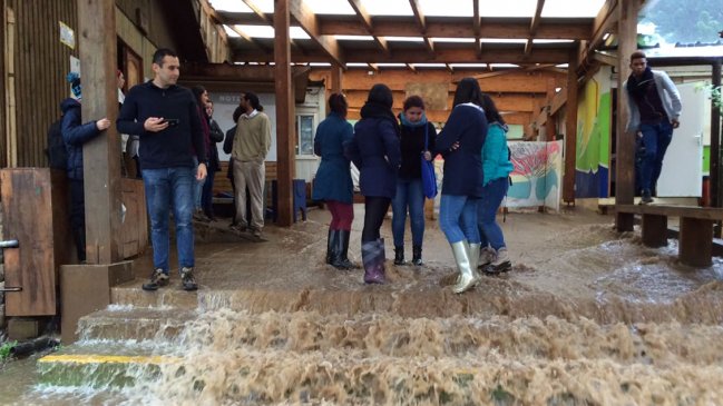 Escuela definitiva para Juan Fernández se construirá en terreno de la Conaf