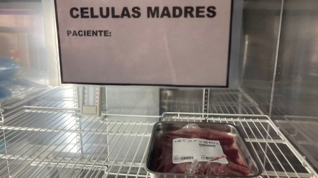 Hospital Talca se convierte en el tercero del país que trasplanta médula ósea