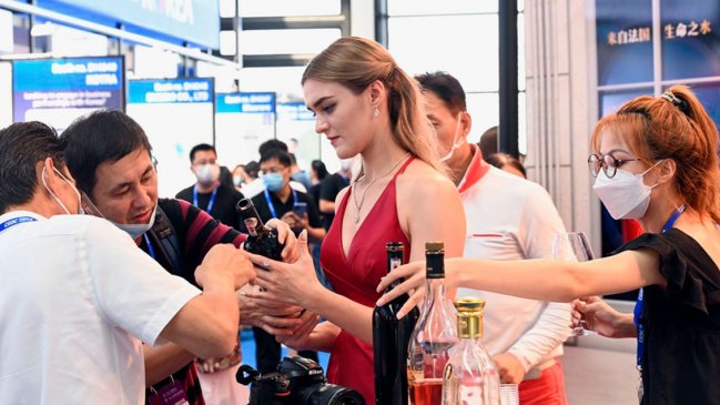 Lazos económicos de China y países de la Franja y la Ruta crecieron significativamente en la última década