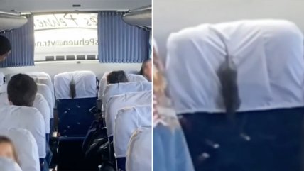  Denuncian plaga de ratones en buses de un colegio  