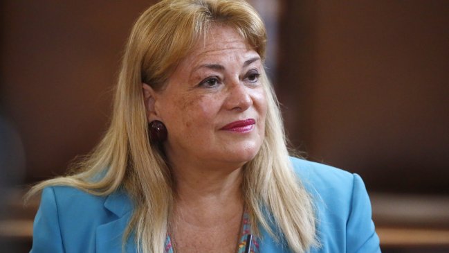 Diputado radical evalúa acusación constitucional contra ministra Vivanco