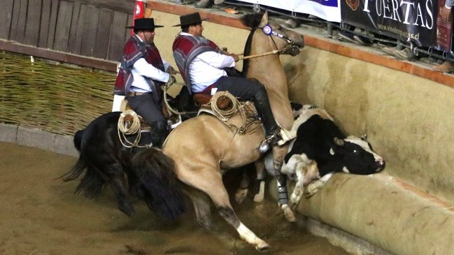 Congreso tramita proyecto que declara 