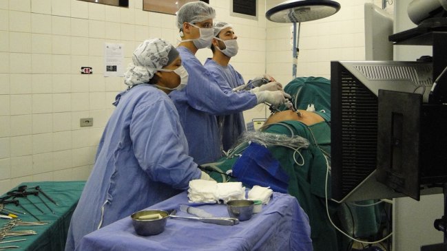 Científicos trasplantaron riñones de cerdo a un humano y lograron que funcionaran