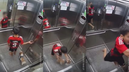   Niño salva a perrita de morir ahorcada en ascensor 