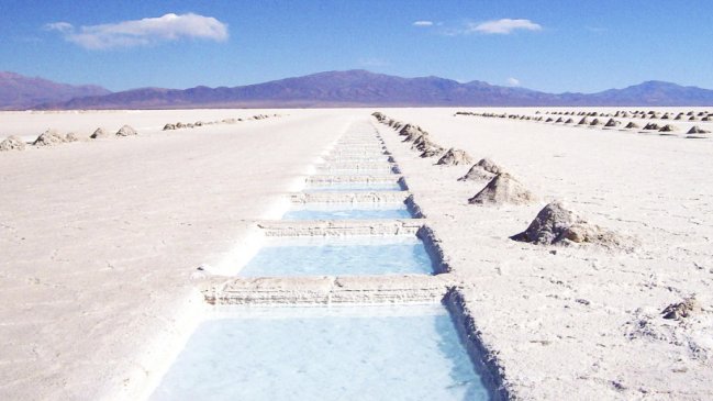 Litio: Consejo de Pueblos Atacameños cuestionó alianza Codelco-SQM