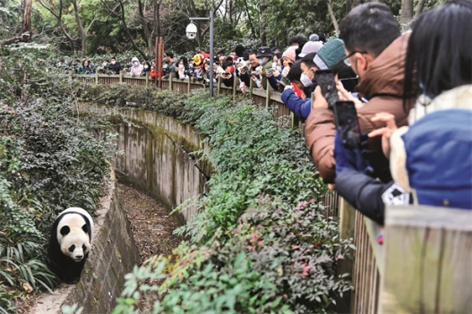 Imagen foto_00000002