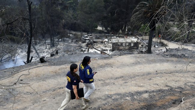 PDI recogió muestras en zona donde hubo cuatro focos simultáneos en incendio forestal