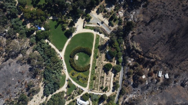 A dos meses del incendio, el Jardín Botánico de Viña del Mar anunció reapertura gradual