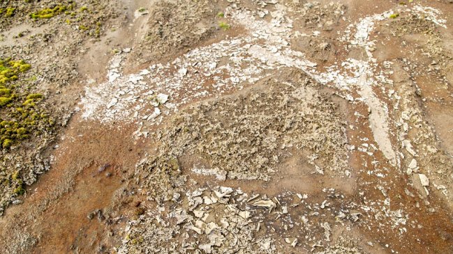 Microorganismos de la Antártica sobreviven durante 15 días a condiciones marcianas