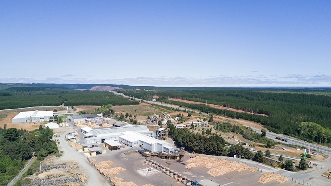 Desazón en el Biobío tras cierre de importante aserradero en la Provincia de Arauco