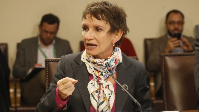 Tohá en comisión que investiga megaincendio: 