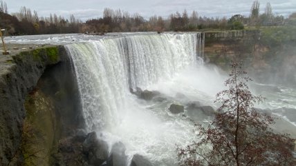  Saltos del Laja: Crecida del río obliga a evacuar sector  