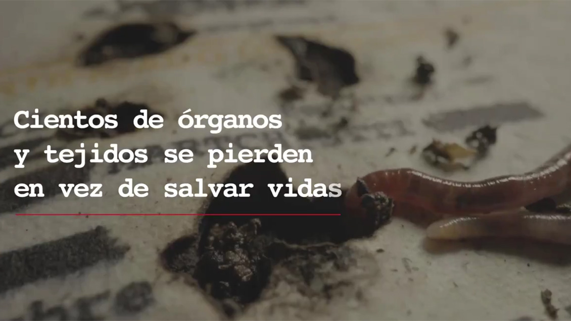 Sociedad de Trasplante sugiere promover donación de órganos con más 