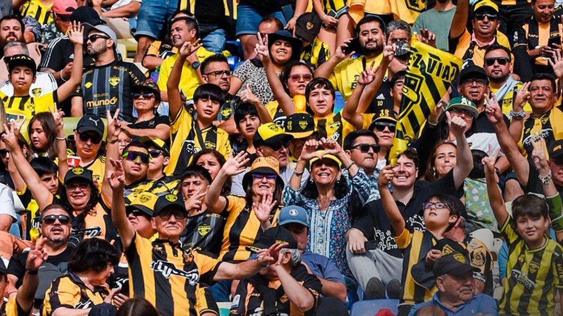 Fernández Vial vive complejo momento que lo pone al borde de la desafiliación