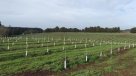 Piensa Circular: La agricultura circular y cómo ayuda a aumentar la producción