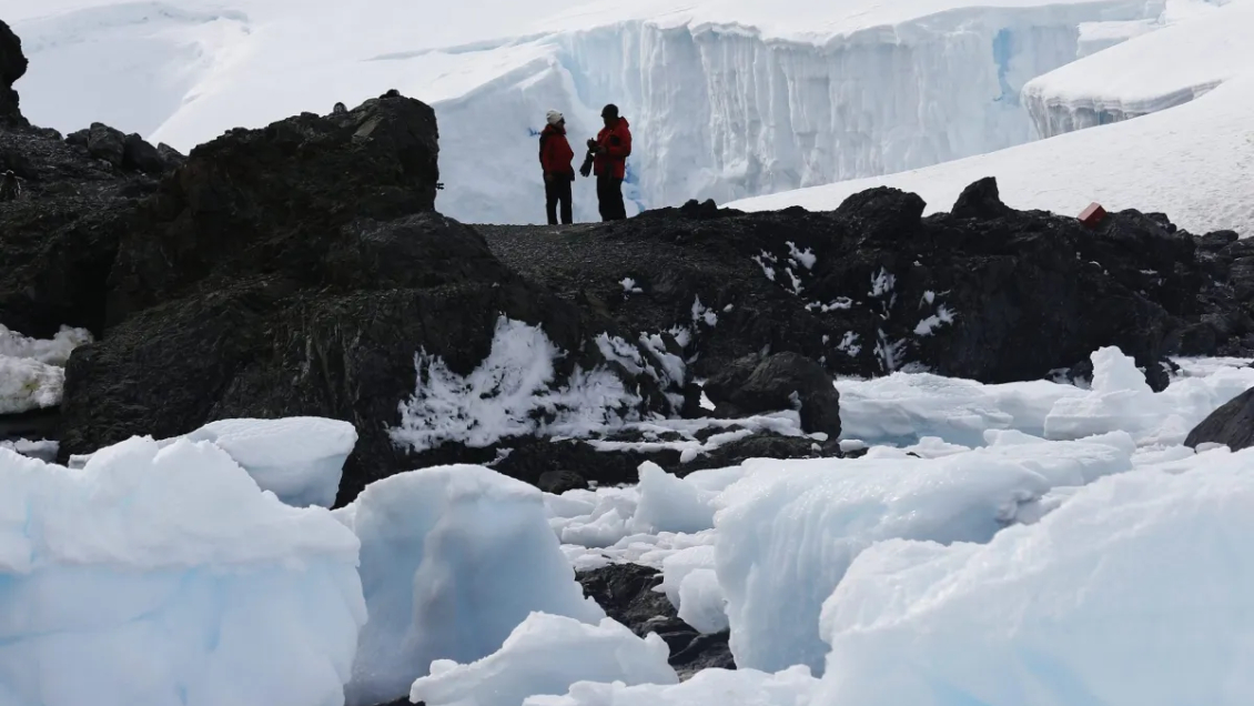 Chile inauguró el encuentro mundial más importante sobre ciencia antártica