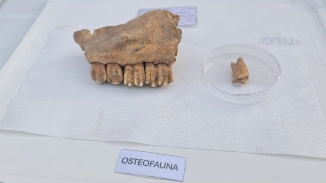 Metro exhibió hallazgos arqueológicos de la Línea 9