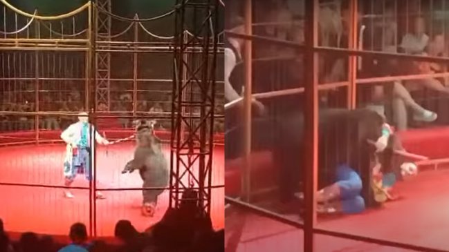 Oso atacó a domador en pleno show de circo tras ser forzado a usar una patineta eléctrica
