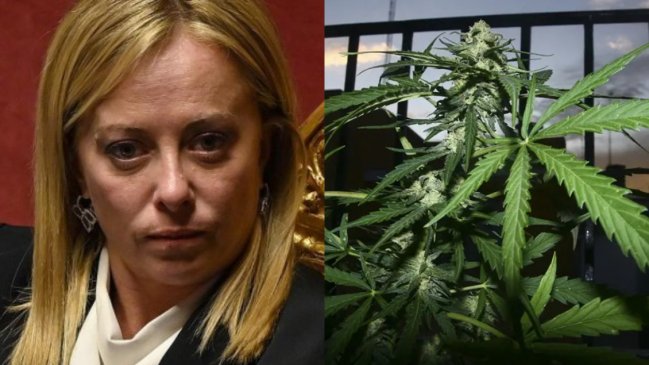 Congreso italiano prohibió el cannabis 