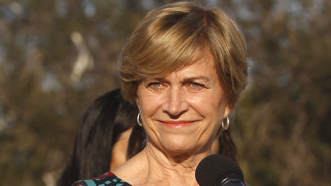 Candidatura de Mirosevic no preocupa a la UDI: 