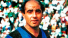Luis Luis