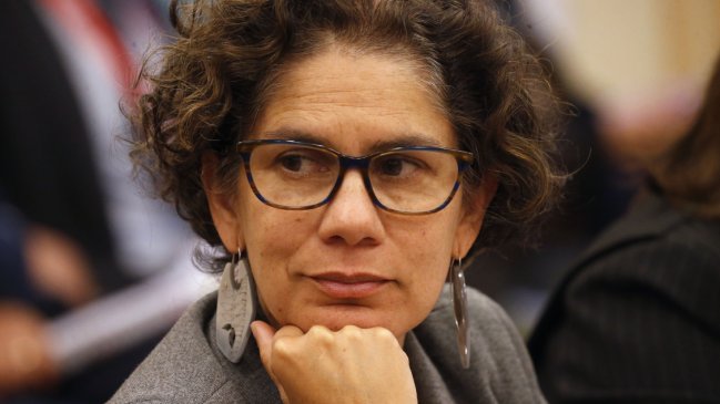 Ministra Rojas por Dominga: Fallo aún puede ser revisado por la Suprema