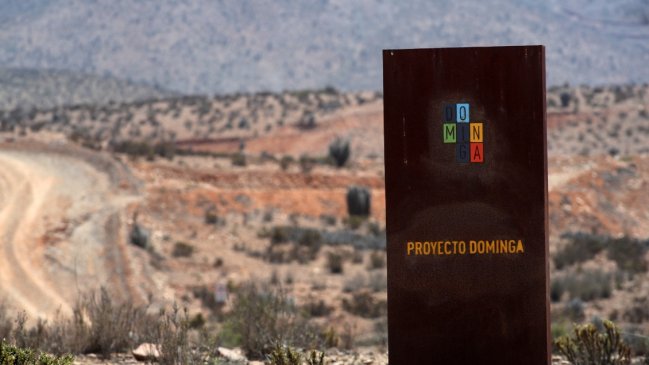 Sonami lamenta que opositores transformaran a Dominga en 